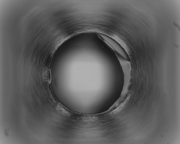 X0000091331001200708311433