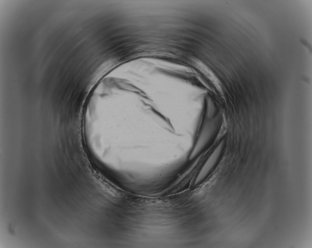 X0000091331002200708311433