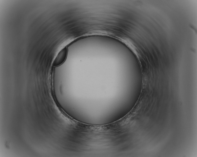 X0000091331003200708311433