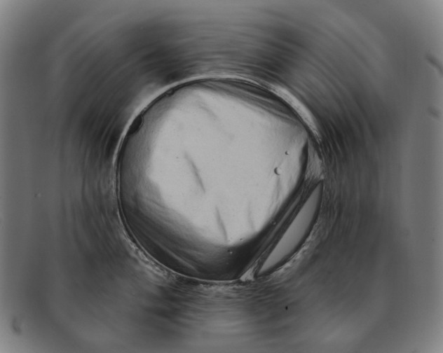 X0000091331004200708311433