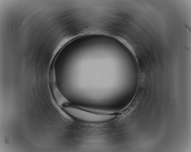 X0000091331005200708311433