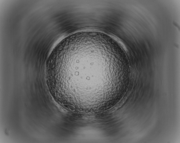 X0000091331006200708311433