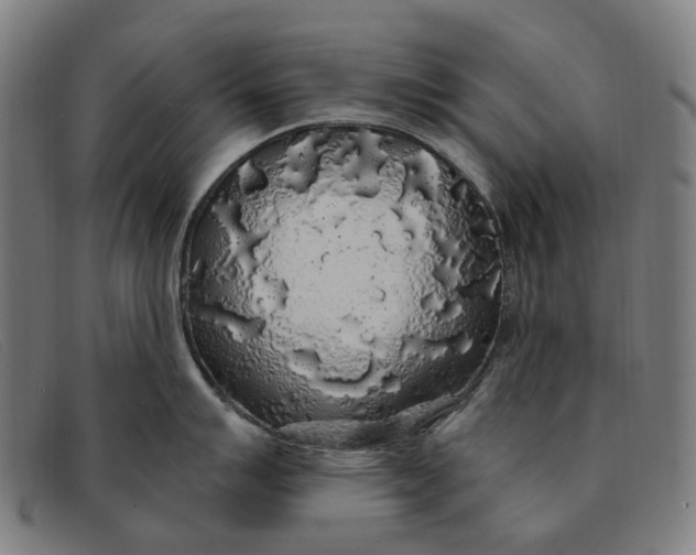 X0000091331007200708311433