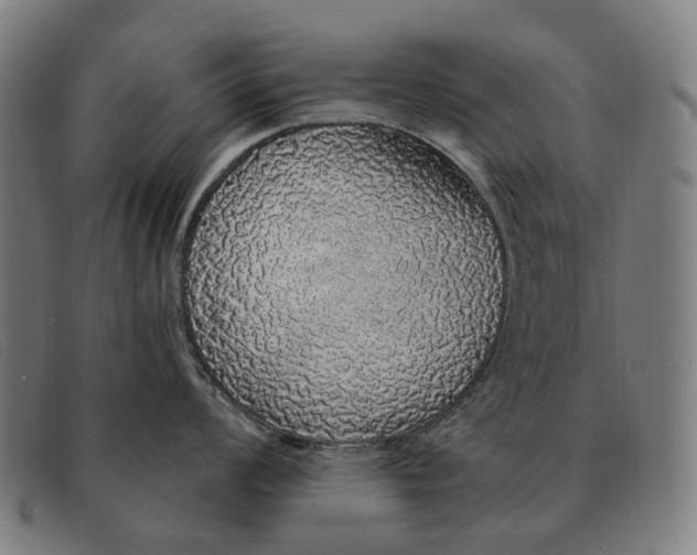 X0000091331008200708311433