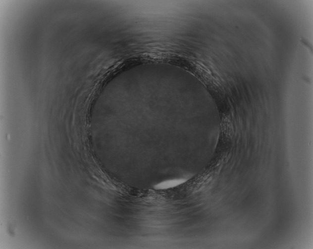 X0000091331009200708311432