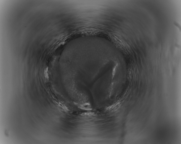 X0000091331010200708311432