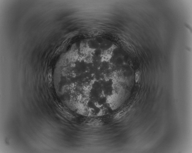 X0000091331011200708311432