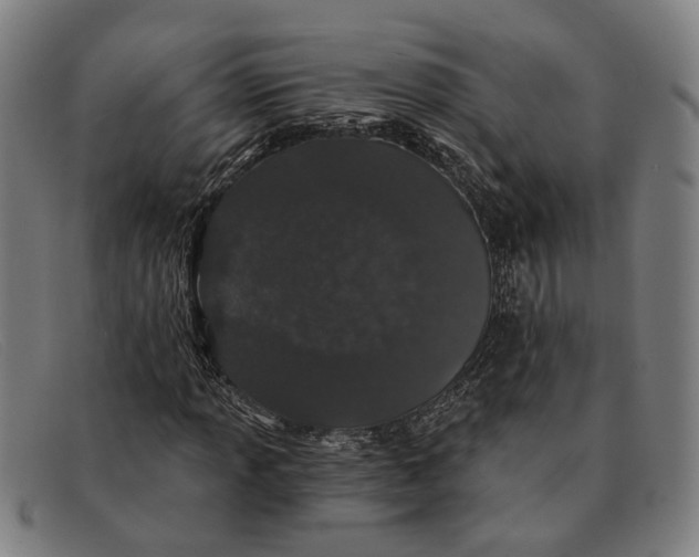 X0000091331013200708311432