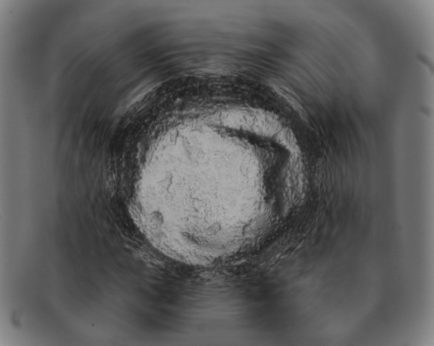 X0000091331015200708311432