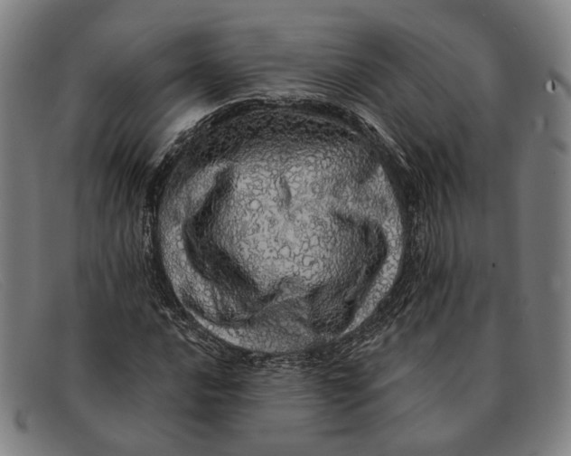 X0000091331016200708311432