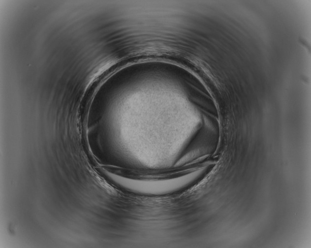 X0000091331018200708311432