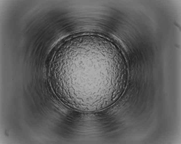 X0000091331019200708311432