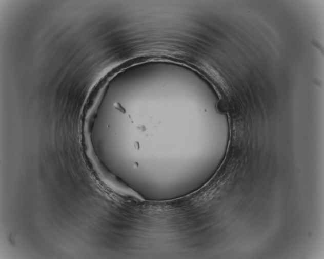 X0000091331020200708311432