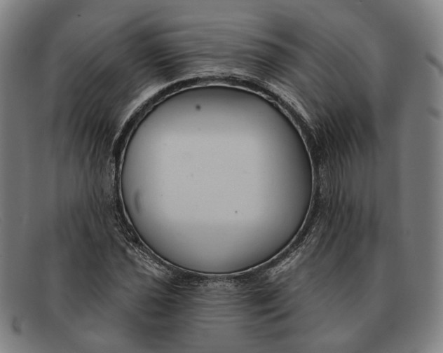 X0000091331021200708311432