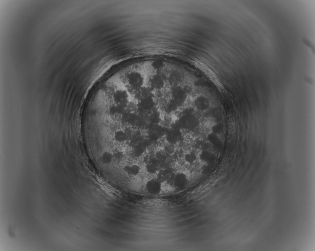 X0000091331023200708311432