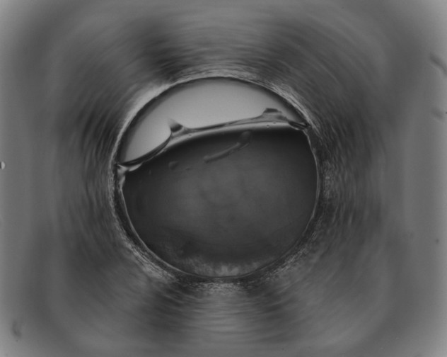 X0000091331024200708311432