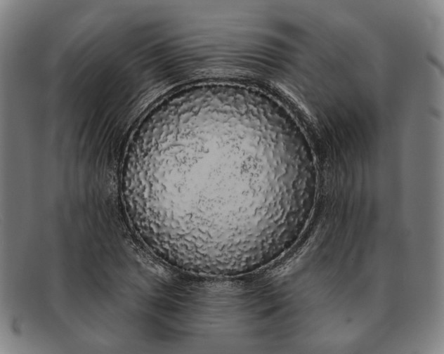 X0000091331025200708311432