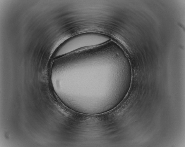 X0000091331026200708311432