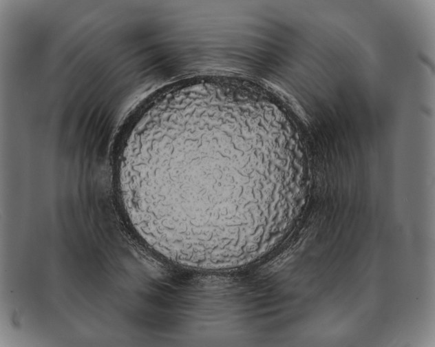 X0000091331027200708311432