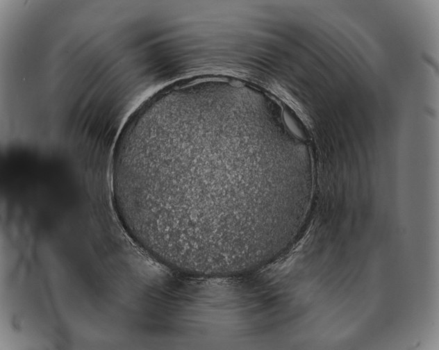 X0000091331028200708311432