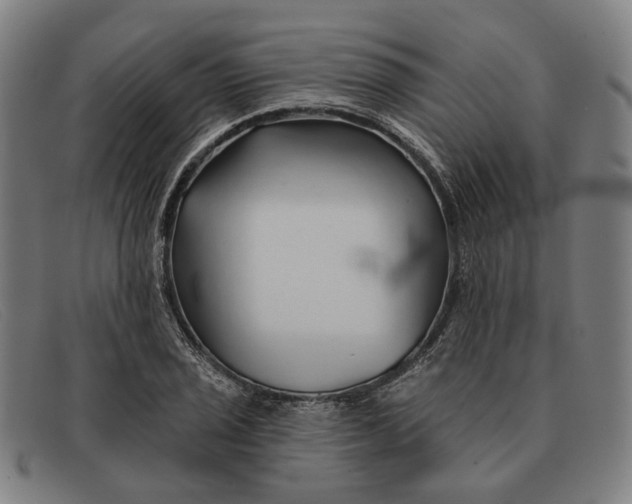 X0000091331029200708311432
