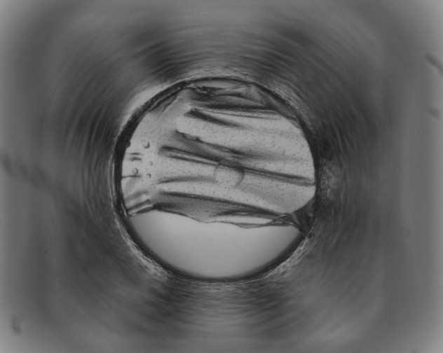 X0000091331030200708311432