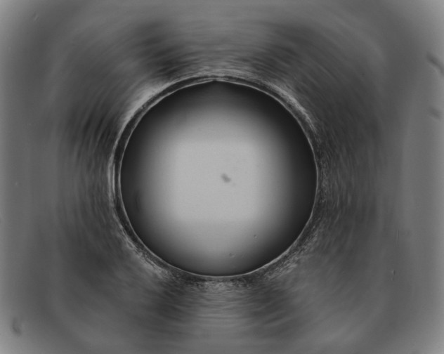 X0000091331032200708311432