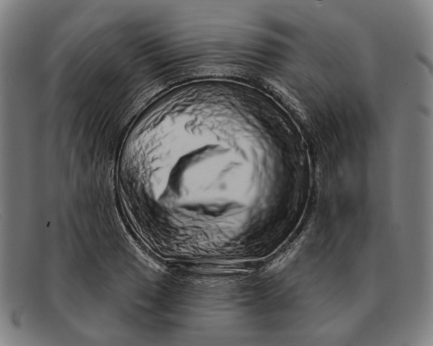 X0000091331033200708311432
