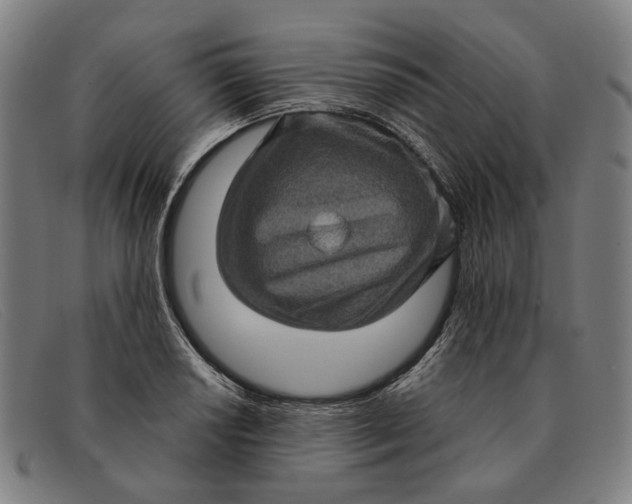 X0000091331034200708311432