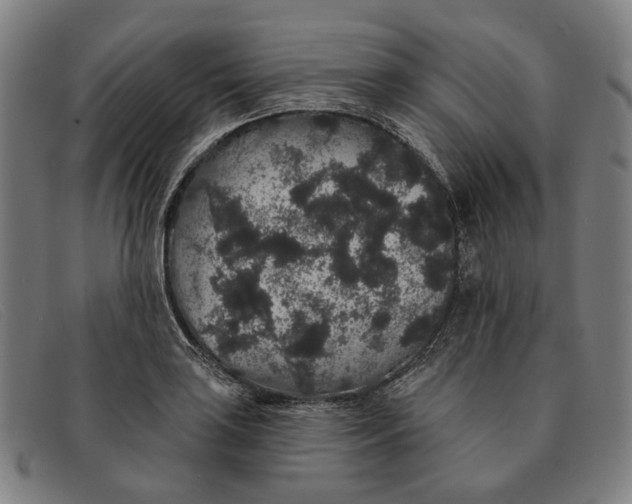 X0000091331035200708311432