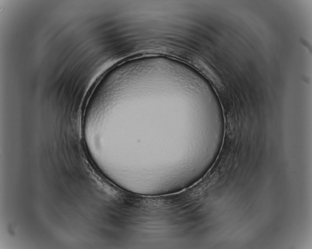 X0000091331036200708311432