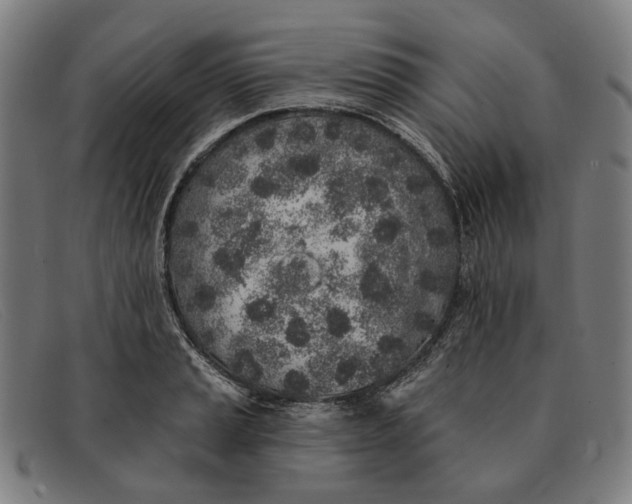 X0000091331037200708311433