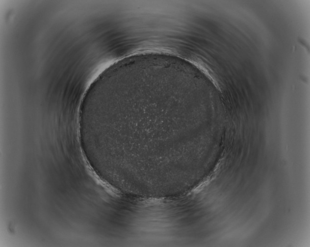 X0000091331038200708311433
