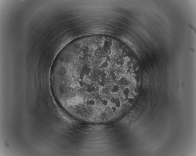 X0000091331039200708311433