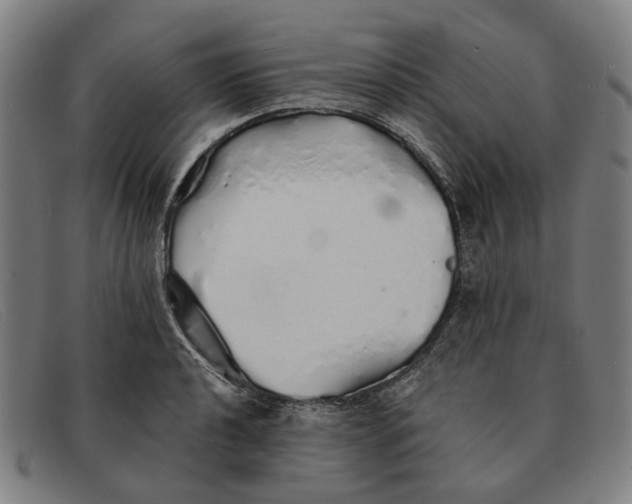 X0000091331040200708311433