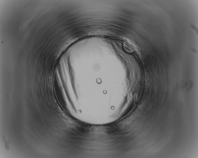 X0000091331041200708311433
