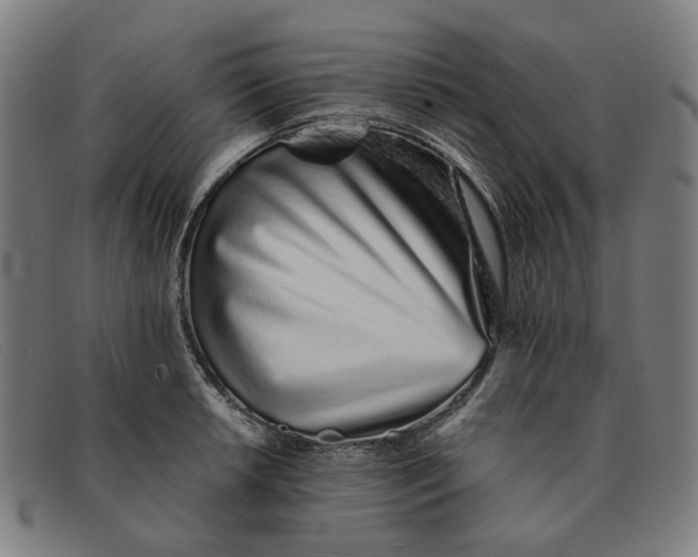 X0000091331042200708311433