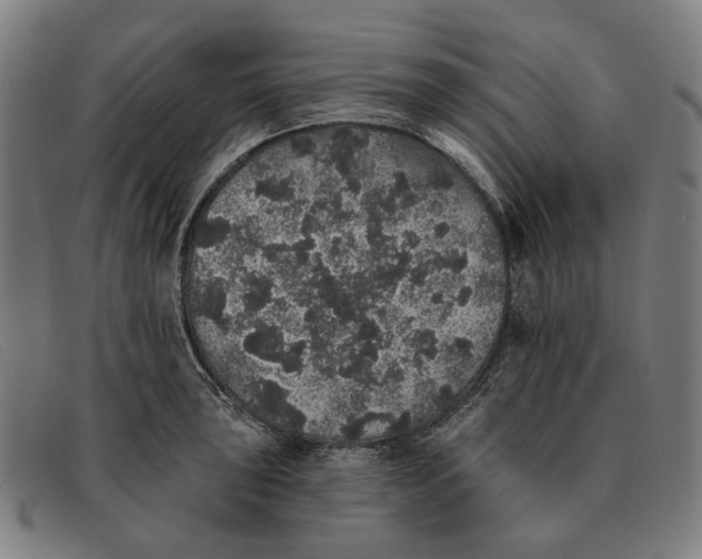 X0000091331043200708311433