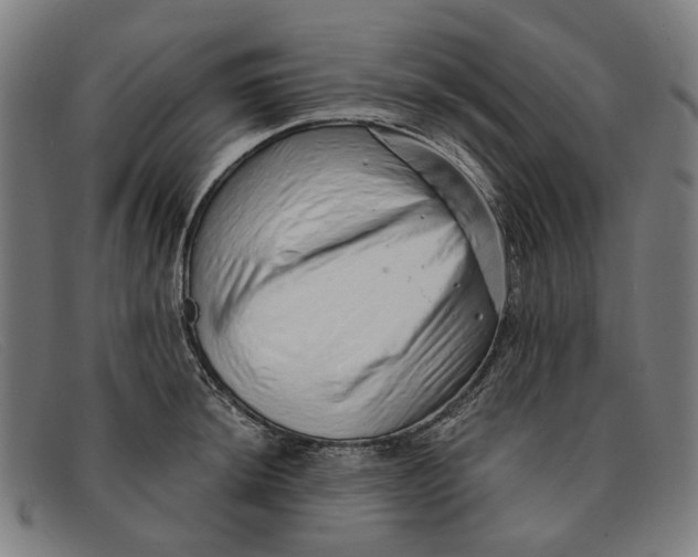 X0000091331044200708311433