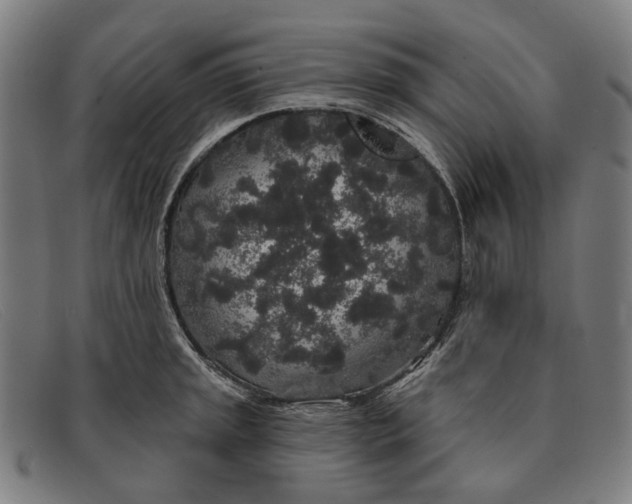 X0000091331045200708311433