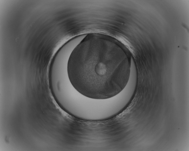 X0000091331046200708311433