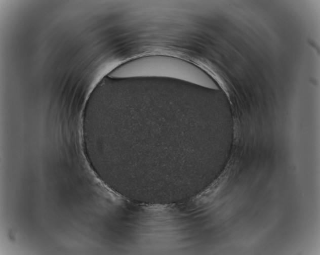 X0000091331048200708311433