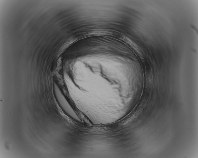X0000091331049200708311433