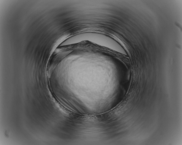 X0000091331050200708311433
