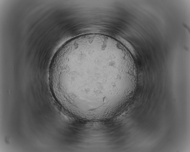 X0000091331051200708311433