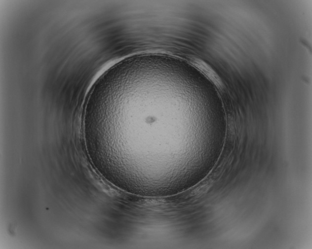 X0000091331052200708311433