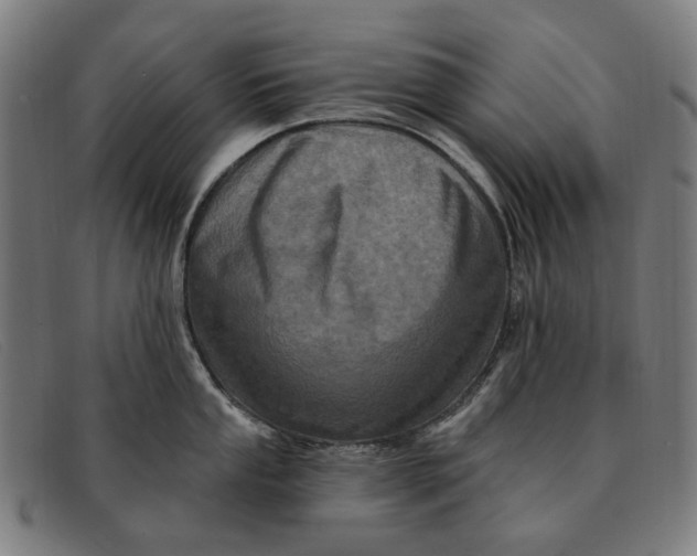 X0000091331053200708311433