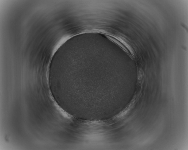 X0000091331054200708311433