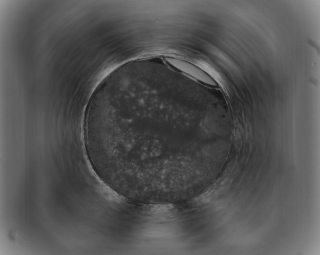 X0000091331055200708311433