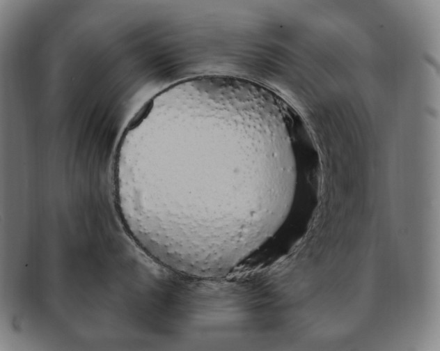 X0000091331056200708311433